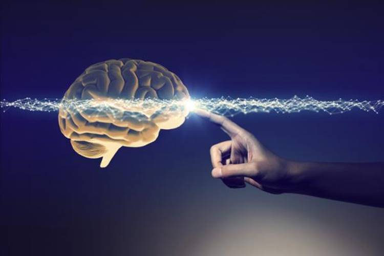 Tipos de percepción en psicología - Qué es la percepción