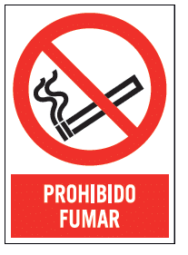 https://artser.es/wp-content/uploads/2024/10/image-11.png
