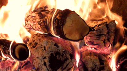 Troncos de madera ardiendo en una chimenea