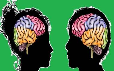 cerebro adolescente