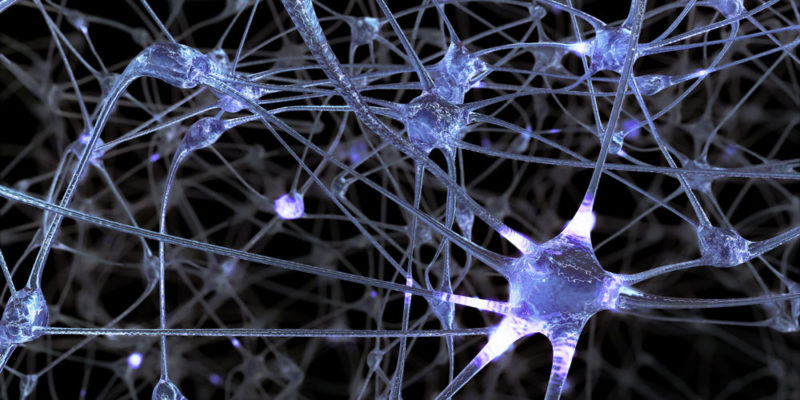Neuronas